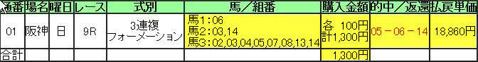 0915阪神9R的中馬券