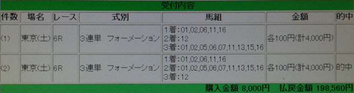 2013-06-08 東京6R的中馬券